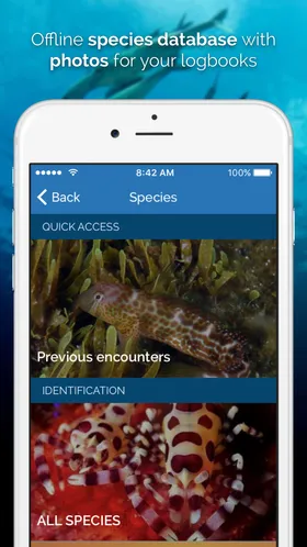 Tortuba screenshot 2